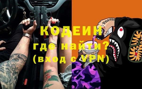 молекула духа Богданович
