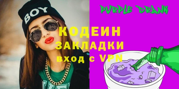 молекула духа Богданович