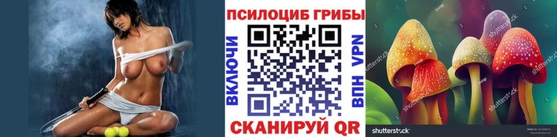 Купить закладки Миньяр Псилоцибиновые грибы мицелий