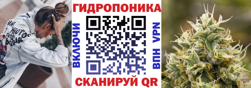 Конопля гибрид  Купить  Миньяр 